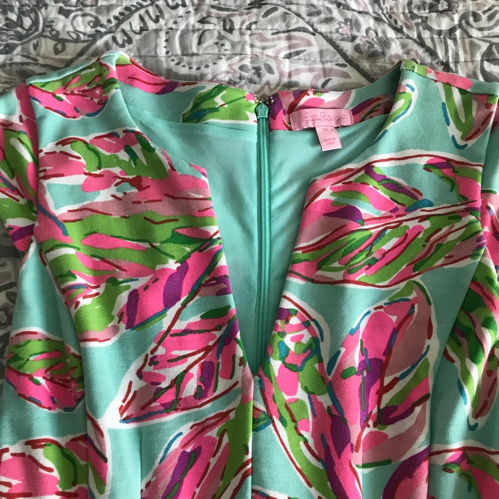 Lilly Pulitzer dress - Picture 2 of 4